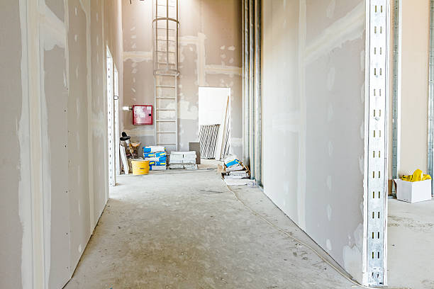 Environmental Consulting for Mold Prevention in Noel, MO
